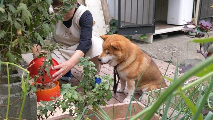 Ryujiのインスタグラム