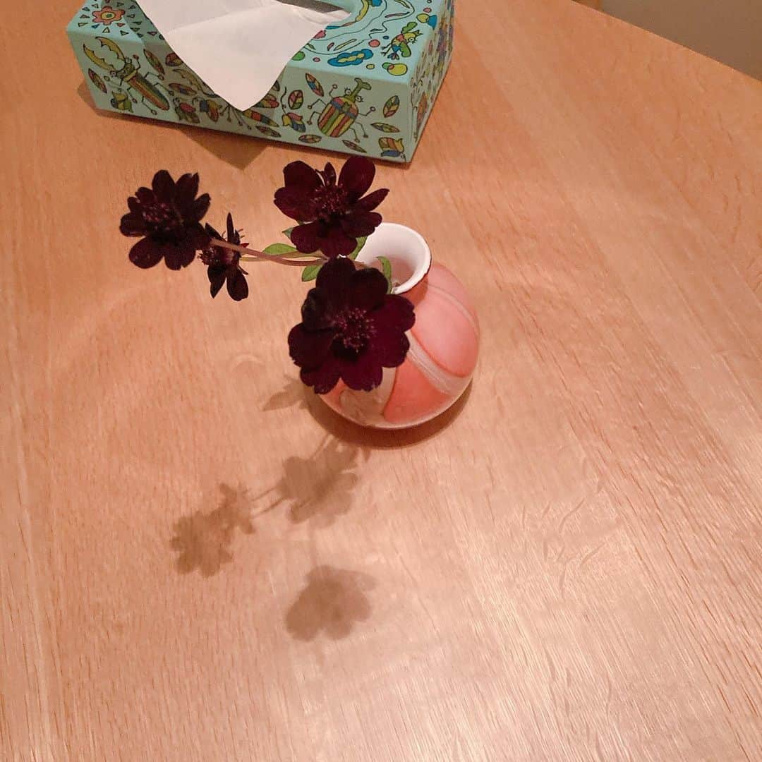 トリンドル玲奈さんのインスタグラム写真 - (トリンドル玲奈Instagram)「あぁ、かわいい。😮‍💨  オランダからきた可愛い花瓶と ステキなお花に出逢いました。  可愛らしい花瓶にかっこいい大人色のお花の組み合わせを考えてくださったお花屋さんに感謝♡  3枚目に写っているティシュボックスは ロケでお世話になったお店の方の手作り🥰こちらもかわいいなぁ。」9月22日 19時55分 - toritori0123