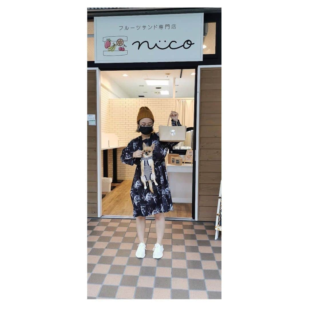 風子のインスタグラム：「代々木駅と北参道駅の間ら辺にあるフルーツサンド屋さんにニム🐕と行ってきた😸  フルーツサンドは食べやすい大きさで種類も豊富✨ 8種類テイクアウトしました😽  帰ってからイチジクとミカン食べた🍊 生クリームは甘くてフルーツはサッパリ💛 美味しい😻💛 近所だからまた買いに行こっと😽  フルーツサンドらぶ💛  pr @nico__fruits #フルーツサンドnico #新宿スイーツ #フルーツサンド専門店 #北参道カフェ #東京スイーツ巡り #スイーツ巡り #手土産スイーツ #フルーツサンド巡り」