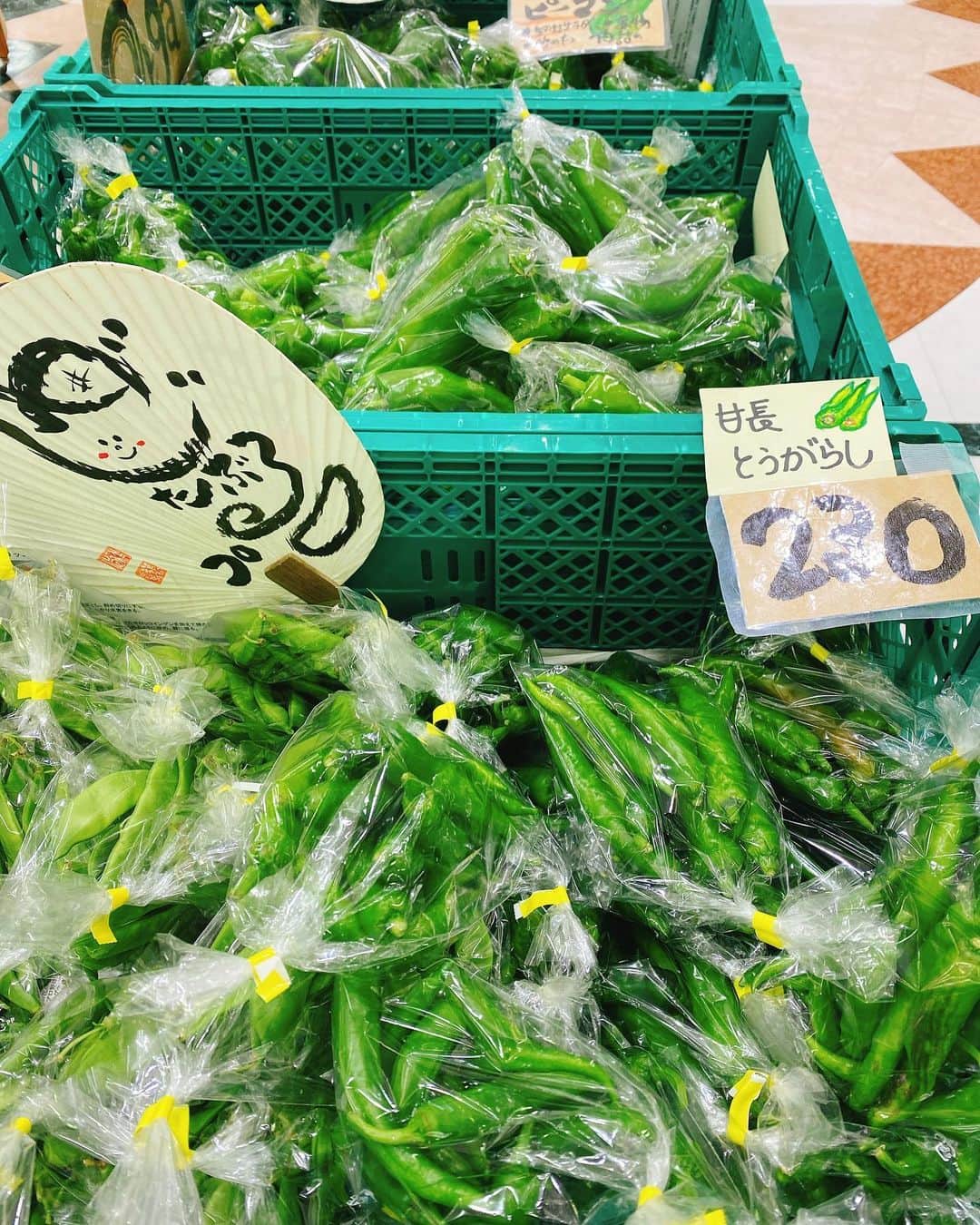 越野矢素子さんのインスタグラム写真 - (越野矢素子Instagram)「丹後の野菜を買いに行って来ました♡゛ @vegetable_pro   今夜は野菜料理だな😊🥬」9月23日 8時54分 - loversyaso