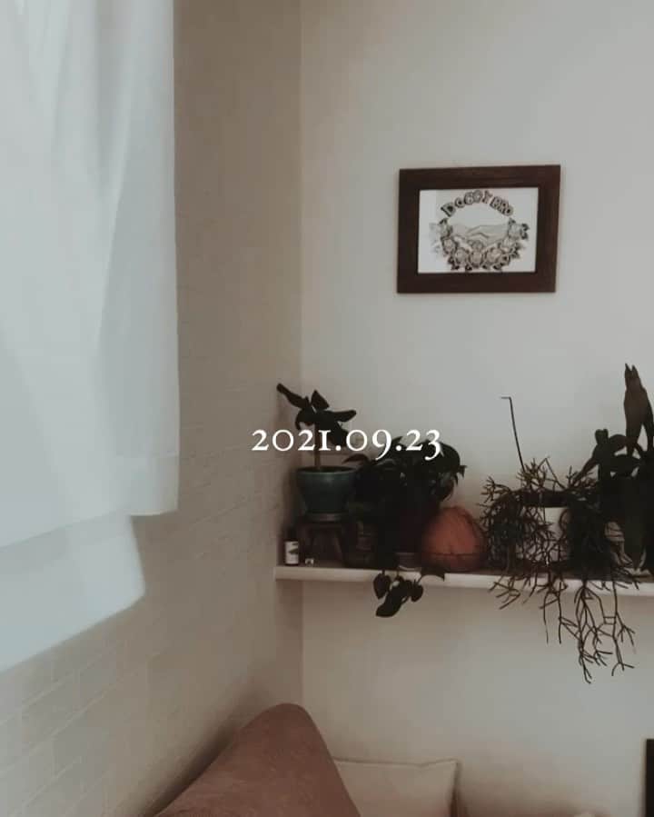 Fabiolla Takinamiのインスタグラム：「今日は秋分の日🍁  日本では 祖先をうやまい、 なくなった人々をしのぶ日  そして、 魚座満月からの秋分の今日は スターゲートが開く日です🪐⚡️  魚座の満月から不思議体験やエンジェルナンバーからのメッセージがたくさん届き いつも祖先は見守ってくれてるんだね。 っと思っています。  ありがとう☺️👼  そして、 こんな素晴らしい秋分の日に 私は生まれました🪐  与えられた身体と魂を大事にしていくね  Obrigado papai mamãe🤍  #スターゲート#秋分の日」