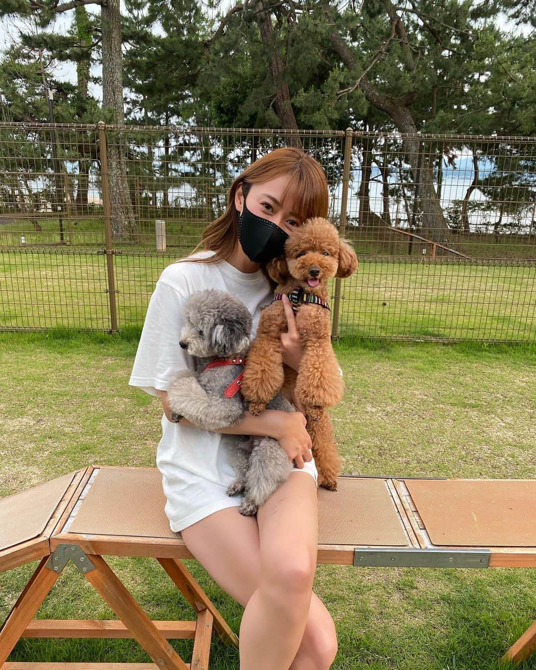 照井和希さんのインスタグラム写真 - (照井和希Instagram)「愛犬と旅行 in 滋賀県🐶🐾  めっちゃ時差更新ですが…（笑） 愛犬もちゅの8歳の誕生日のお祝いで ずーーっと行ってみたかったホテル！！ びわ湖松の浦別邸へ行って来ました🐶🎂🐾 ☑︎ @biwamatsunoura   着いてすぐにホテルの人が迎えに来てくれて 愛犬の事も『くま君、もちゅ君』って 人間の子供みたいに優しく接して下さって…😭✨ 受付してる最中も人間だけでなく、しかも先に 愛犬達にウェルカムおやつとお水を出してくれました😭感動w  愛犬と泊まれる宿なだけあって もの凄くお犬様ファースト😭😭🐾 ペット用アメニティやグッズ盛り沢山…✨ 夜も朝も犬用ビュッフェ(めっちゃお洒落) 朝ごはんも堪能出来ました😭✨✨  ディナーではもちゅのサプライズケーキも出してくれて😭 スタッフ皆様から可愛い可愛いして頂き 言うなれば、犬のディズニーランドかのような扱いを受け😭✨笑 今まで行って来た宿の中でも好対応を受け毎度感激😂✨  しかもこの宿 ハーゲンダッツもドリンクも食べ放題飲み放題で← お食事もめっちゃ美味しくて飼い主も楽しめた1日でした😭♡笑  今回私が泊まった部屋は プライベートドッグラン付きのお部屋でしたが 宿泊者みんなが使えるドッグランもあって 客室露天風呂も付いてるし😭✨✨ ずっと1日中楽しめる事ができます🐶🐾  有名＆人気過ぎて来年まで 予約取れないほどのお宿だけど キャンセルが狙い目ですｗｗｗｗ😂✨  愛犬家さんには絶対絶対絶対 行って欲しい宿でございました😭✨✨  くまもちゅのアカウントでも ちょこちょこ更新してるので是非 チェックしてくださいね☺️🐶🐾 @kumamochuyu   ． ． ． #びわ湖松の浦別邸    #トイプードル #トイプードルシルバー #ひつじカット #といぷー #いぬすたぐらむ #保護犬カフェ卒業生 #保護犬 #元繁殖犬 #고양이 #캣스타그램 #냥집사 #새끼고양이 #길고양이 #トイプードルレッド #トイプードル男の子 #愛犬とお出掛け #関西わんこ #愛犬との暮らし #愛犬と行ける #ペット博 #ペット博大阪 #インテックス大阪 #多頭飼いの幸せ #トリミング #トリミングサロン #ドッグウェア #琵琶湖」9月23日 12時17分 - kazu24ki