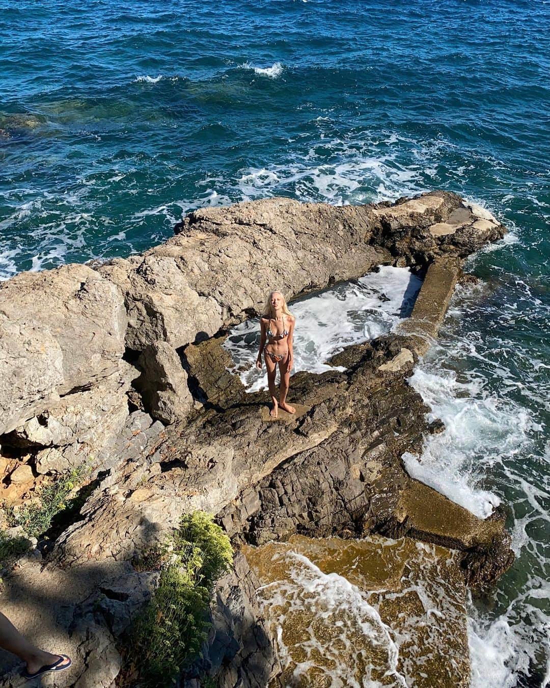 Sasha Supのインスタグラム：「summer dump🤹🏼」