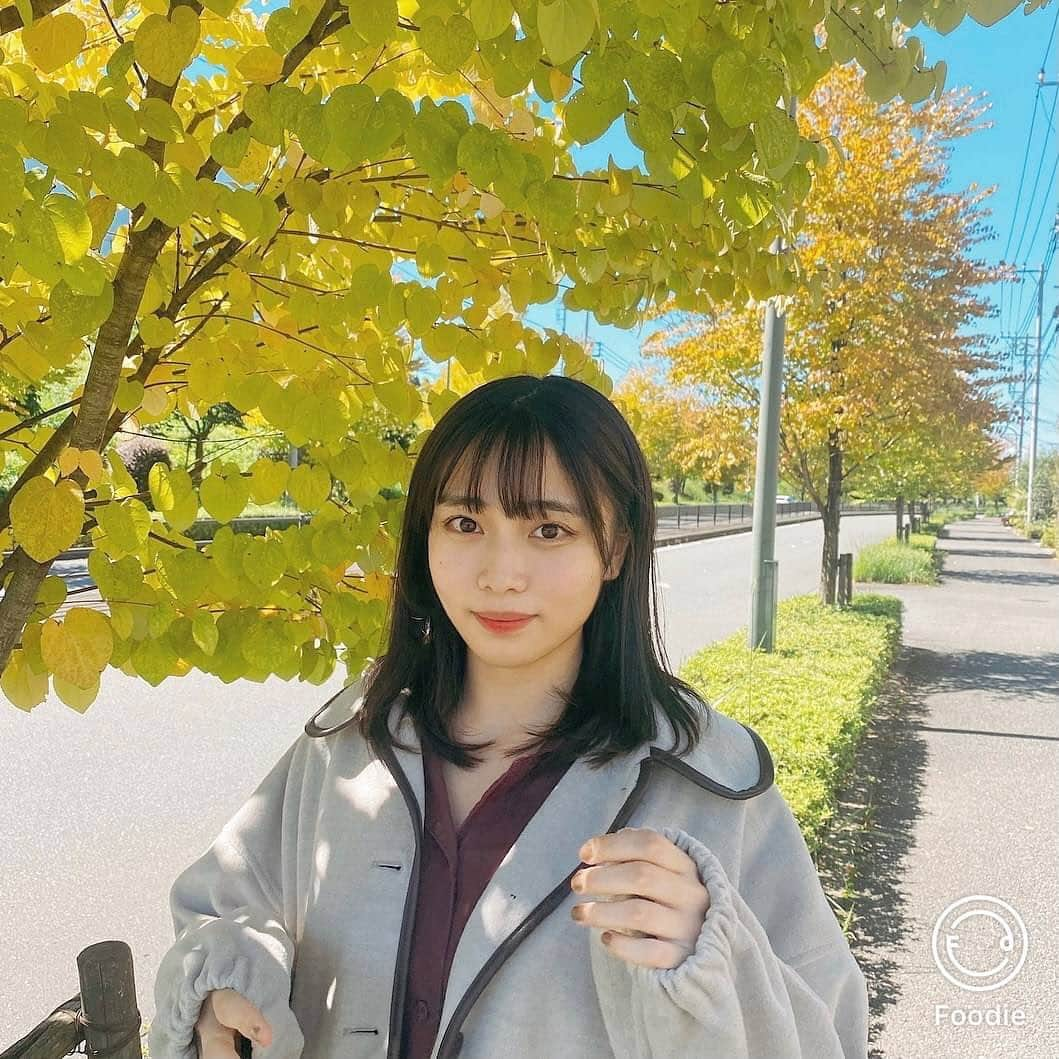 金山奈々絵さんのインスタグラム写真 - (金山奈々絵Instagram)「もうそろそろ食欲の秋です、食べすぎないように気をつけます。笑 写真はfoodieっていうアプリの、family dayっていうレシピかけて、秋加工してみました🍂#フーディーカメラ #フーディーレシピ #foodietieup」9月23日 18時11分 - nanae_ohayogu