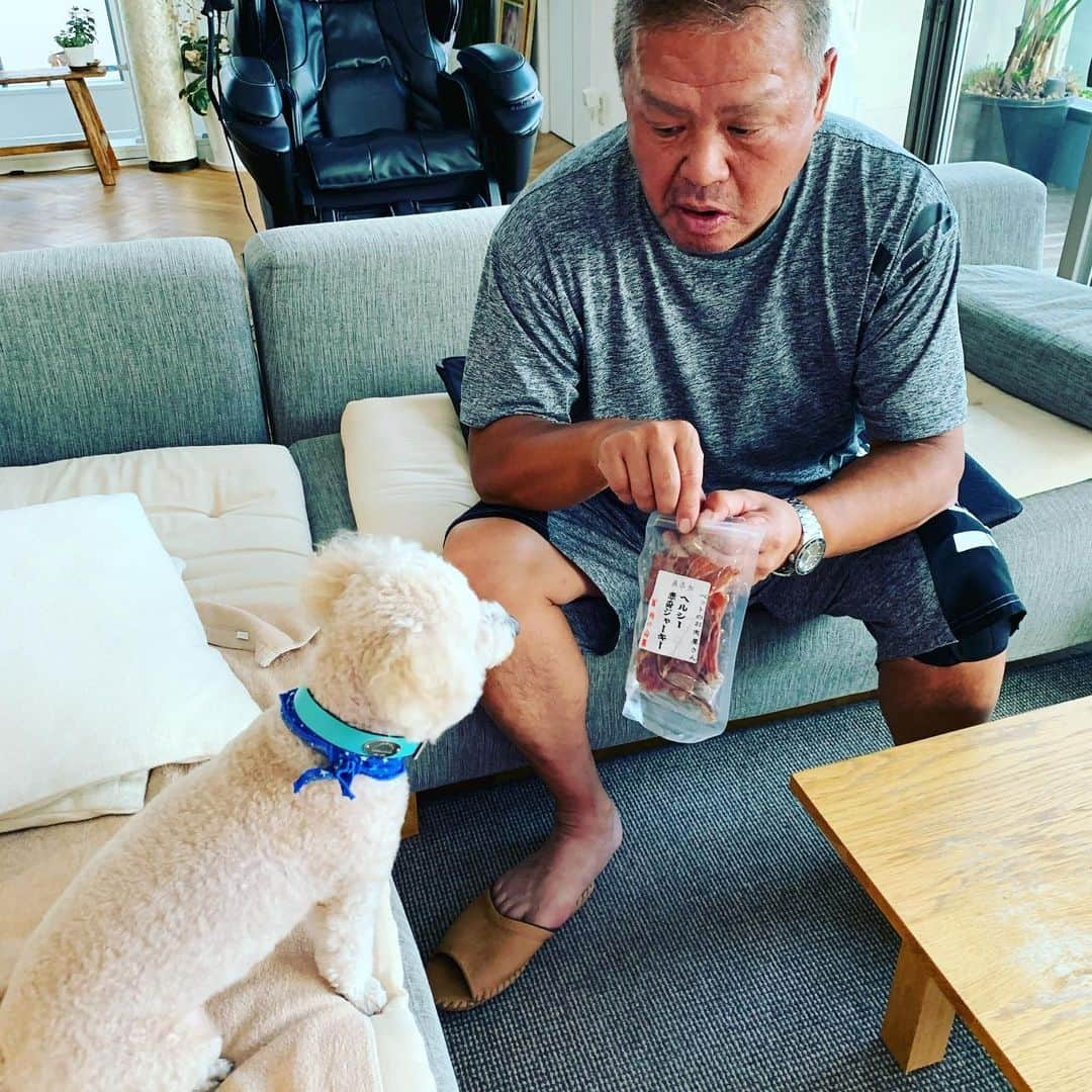 金村義明さんのインスタグラム写真 - (金村義明Instagram)「肉の山喜の無添加ヘルシー赤身ジャーキー！ アロンは、他のオヤツ一切食べなくなりました！ 涙やけも一切無くなりました！ よっぽど美味しいんやろな！」9月23日 18時17分 - yoshiaki_kanemura