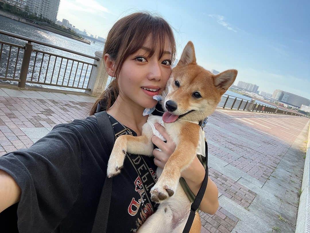 椎名歩美のインスタグラム：「幸太とデートをしてきました👩🐶🤍 ⁡ 9月ともいうのに夏のような陽気でした！ 休憩中に冷たいものを飲みながら時折吹く風を感じては秋だあ、なんて思ったり😊 ⁡ ⁡ お花の香りをクンクンしていたら蝶々さんを見つけた幸太！ なかなかいい写真が撮れました🥰 ⁡ ⁡ とっても楽しい癒し時間でした☺️ ⁡ ⁡ おうち時間は相変わらず、幸太とまったりか、 お料理ですね💁‍♀️食卓も秋模様。 ⁡ ⁡ さぁ明日は早起きして少し遠くへ行って撮影です。 やることやっちゃおう！🏃‍♀️💨 ⁡ ⁡ #愛犬#家族#休日#デート#お出かけ#豆柴#1歳#9月#お散歩#お花#蝶々#癒し#おうち時間#お料理#秋#今日もありがとう#当たり前なんかない#日々感謝 ⁡」
