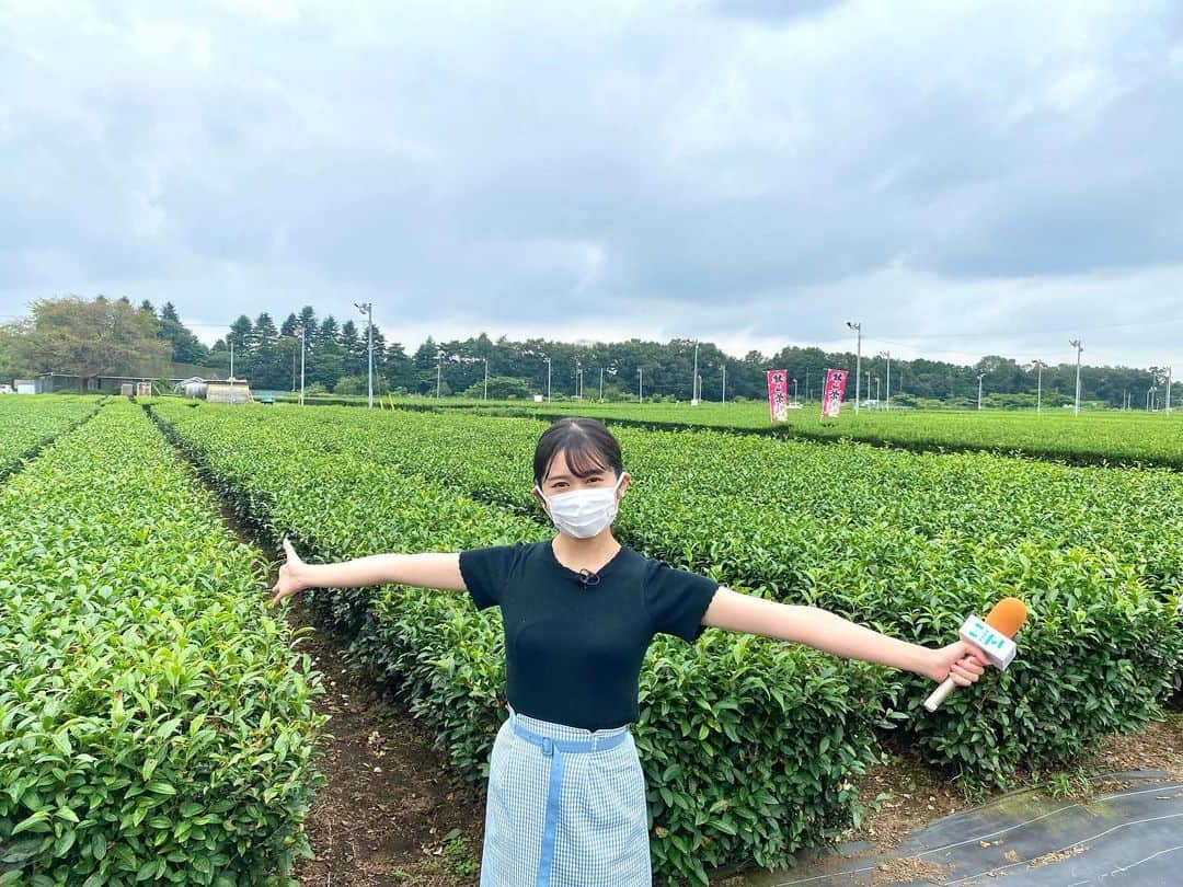 浅野杏奈さんのインスタグラム写真 - (浅野杏奈Instagram)「明日は！ 日本テレビ「ZIP!」 特集コーナーに出演します✊🏻  最近到来したお抹茶ブーム🍵  抹茶を入れたら美味しいものを調査しました🔎  ぜひ見てください💕  #ZIP! #抹茶　#抹茶好き」9月23日 18時54分 - this.is.anna_box