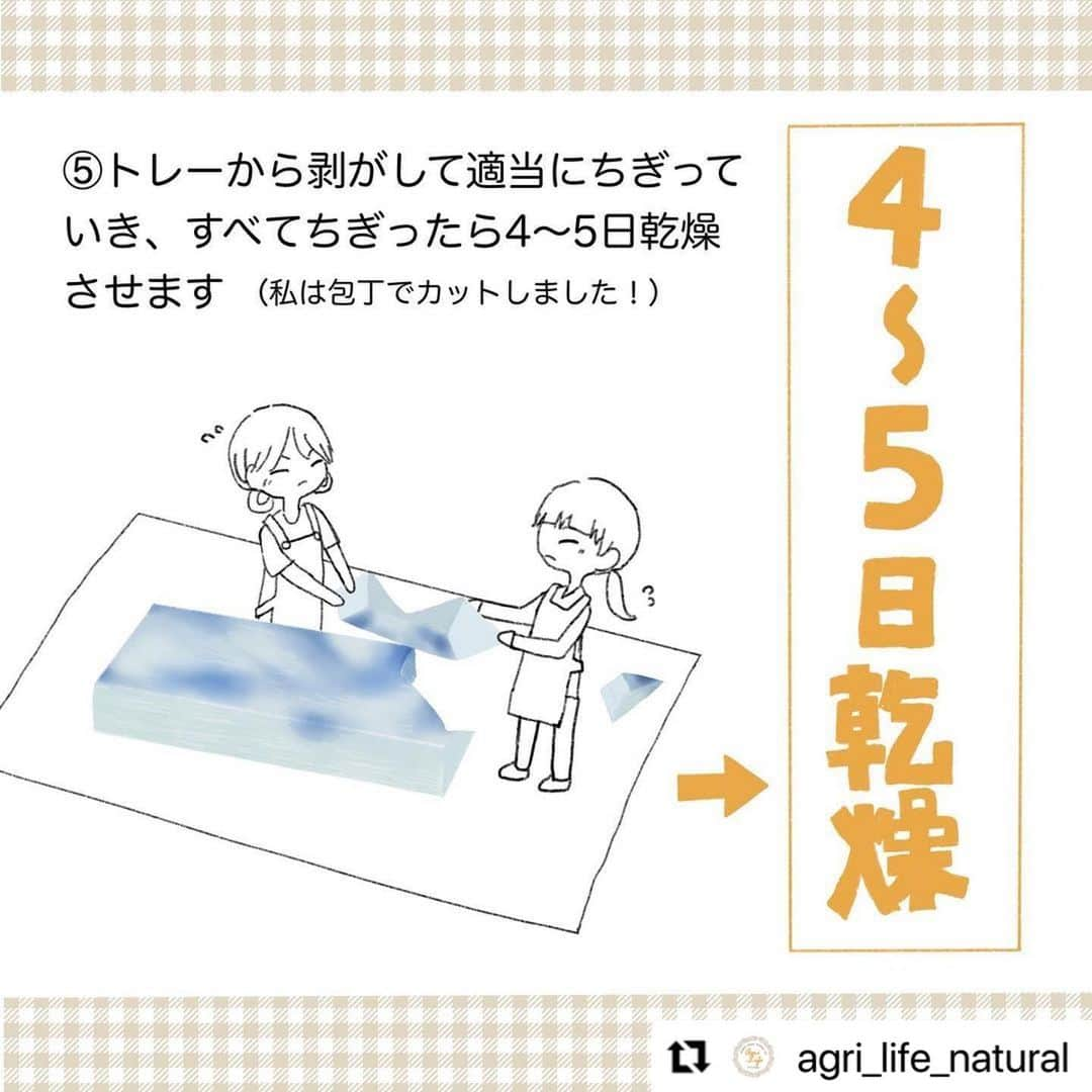 Vegan Organic Colorsさんのインスタグラム写真 - (Vegan Organic ColorsInstagram)「#Repost @agri_life_natural ... Glittering, sweet "amber sugar. . Here's a recipe for amber sugar, a sparkly, sweet treat made with AgriLife food powders! 💎 . [Material Water - 200ml Juice of your choice ... 100ml Agar powder - 8g Granulated sugar - 500g A small amount of butterfly pea powder . [How to make it] 1) Add powdered agar to water and boil until dissolved. (2) Add the granulated sugar and juice and simmer until thickened, about 5 minutes. (3) Coat the tray with oil to make it easier to remove, and pour the oil into the tray while straining the air bubbles through a tea strainer. Dissolve the powder in water and color it with a toothpick. When all the pieces are torn off, let them dry for 4~5 days to complete the process. . . When it was freshly made, it was clear and sparkly and looked like jelly, but after it dried, the surrounding area turned white and crispy, and I enjoyed the texture. I hope you'll give it a try too! . #butterflypea #blue #hibiscus #pink #sweets #powder #natural #AmberSugar #ButterflyPea #Hibiscus #Sweets #Candy #CandyMaking #Glitter #Blue #Pink #JapaneseSweets #AgarAgar #Sweet #Snack #HomeTime #HomeCafe #HomemadeSweet」9月24日 10時52分 - organiccolors