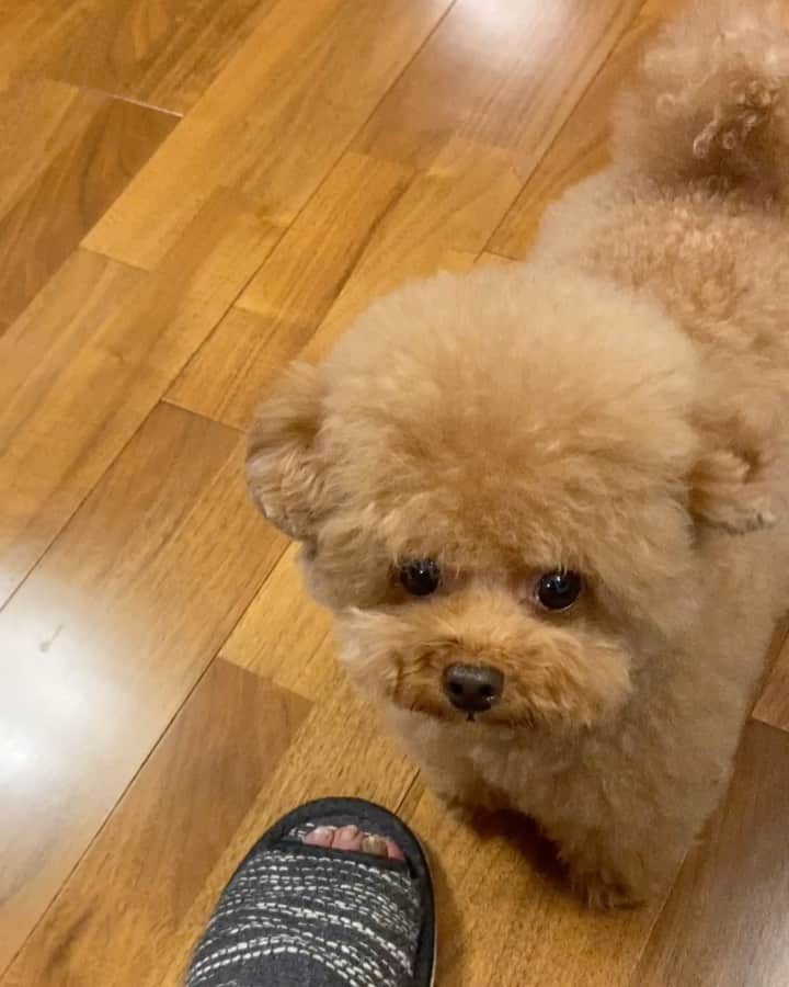 しらす先輩のインスタグラム