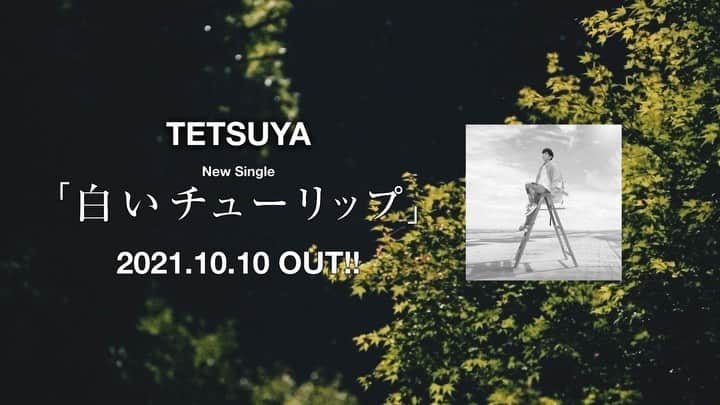 tetsuyaのインスタグラム：「TETSUYA New Single「白いチューリップ」の先行配信が決定しました！ 2021年9月29日（水）0時より配信スタート！ #TETSUYA #白いチューリップ #STEALTH」
