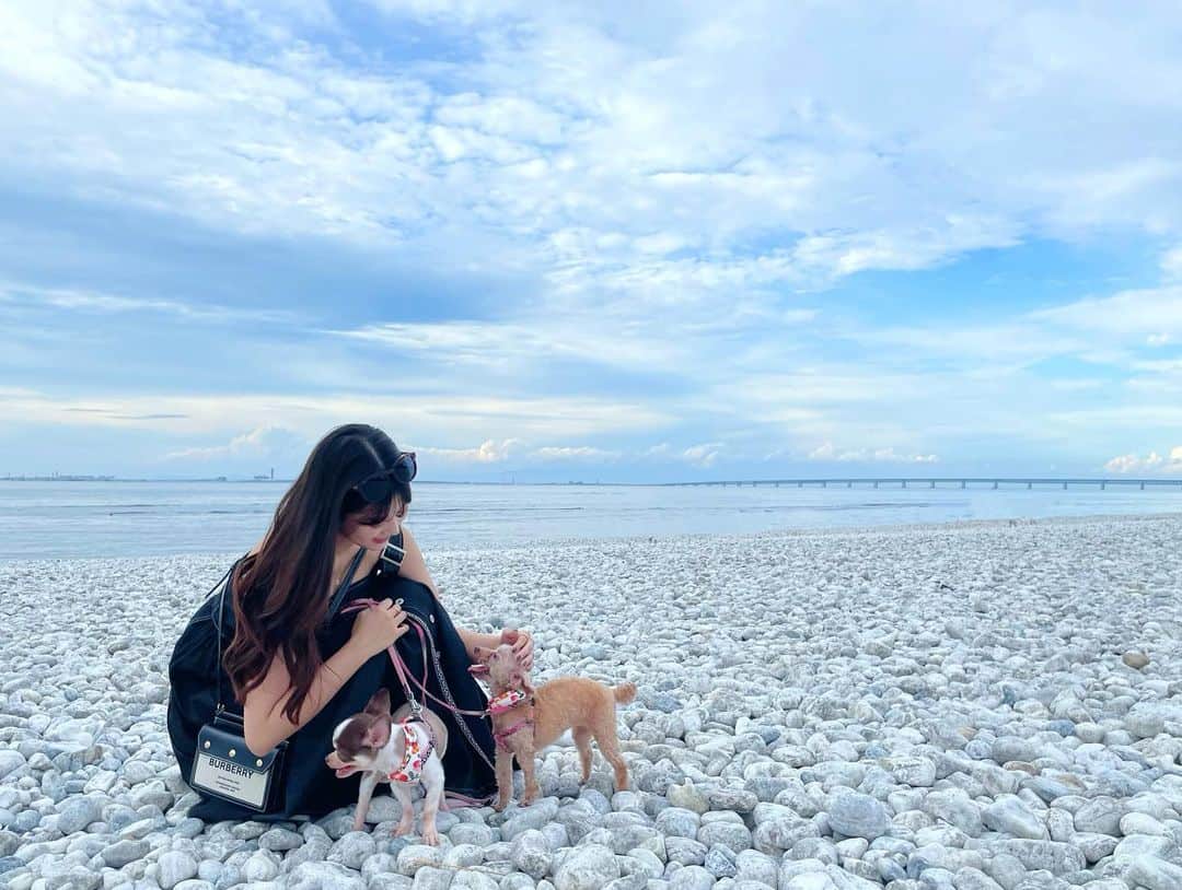 月野有菜さんのインスタグラム写真 - (月野有菜Instagram)「少し前に海に行きました🚗³₃ ⁡ ⁡ 1枚目の🐶はもう16歳のおばあちゃんなのです☺️」9月24日 20時16分 - yuna_tsukino920