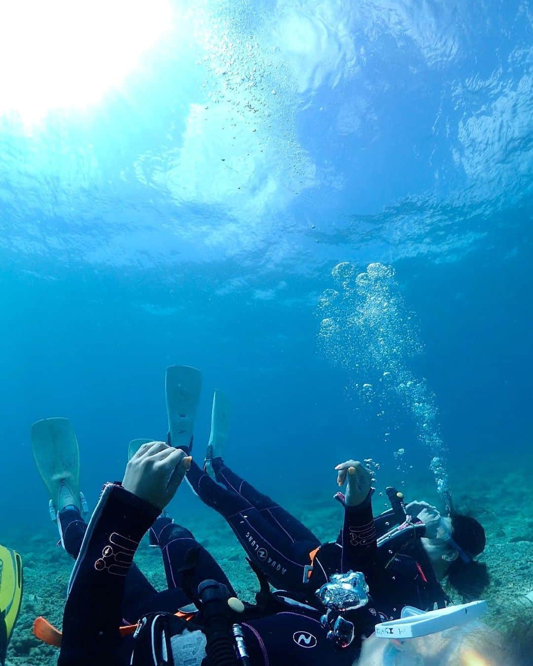 mizukiさんのインスタグラム写真 - (mizukiInstagram)「🤿 #diving  一日中海の中3ダイブ💙 .  #シュノーケル #ダイビング  #旅行好きな人と繋がりたい #旅行  #奄美大島 #奄美 #鹿児島 #亀 #海亀 #珊瑚 #海  #bikini #trip #travel #happy #amami #marin  #selfie #follow #like4like #l4l #f4f #fff #ootd」9月24日 13時19分 - 31chaaa