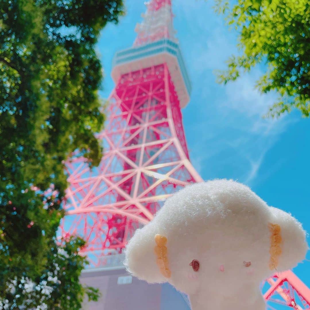 こぎみゅん（サンリオ）のインスタグラム：「しるばーうぃーくって･･ なんだみゅん･･？🗼  #サンリオ #キャラクター #小麦粉の妖精 #こぎみゅん #sanrio #character #cogimyun #連休 #シルバーウィーク #東京タワー #tokyotower #🗼」