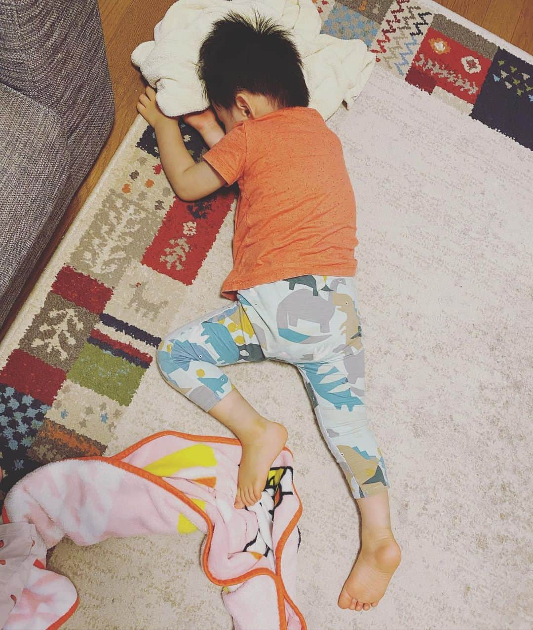 ヒラヤマンのインスタグラム：「死んだように眠っておる。」