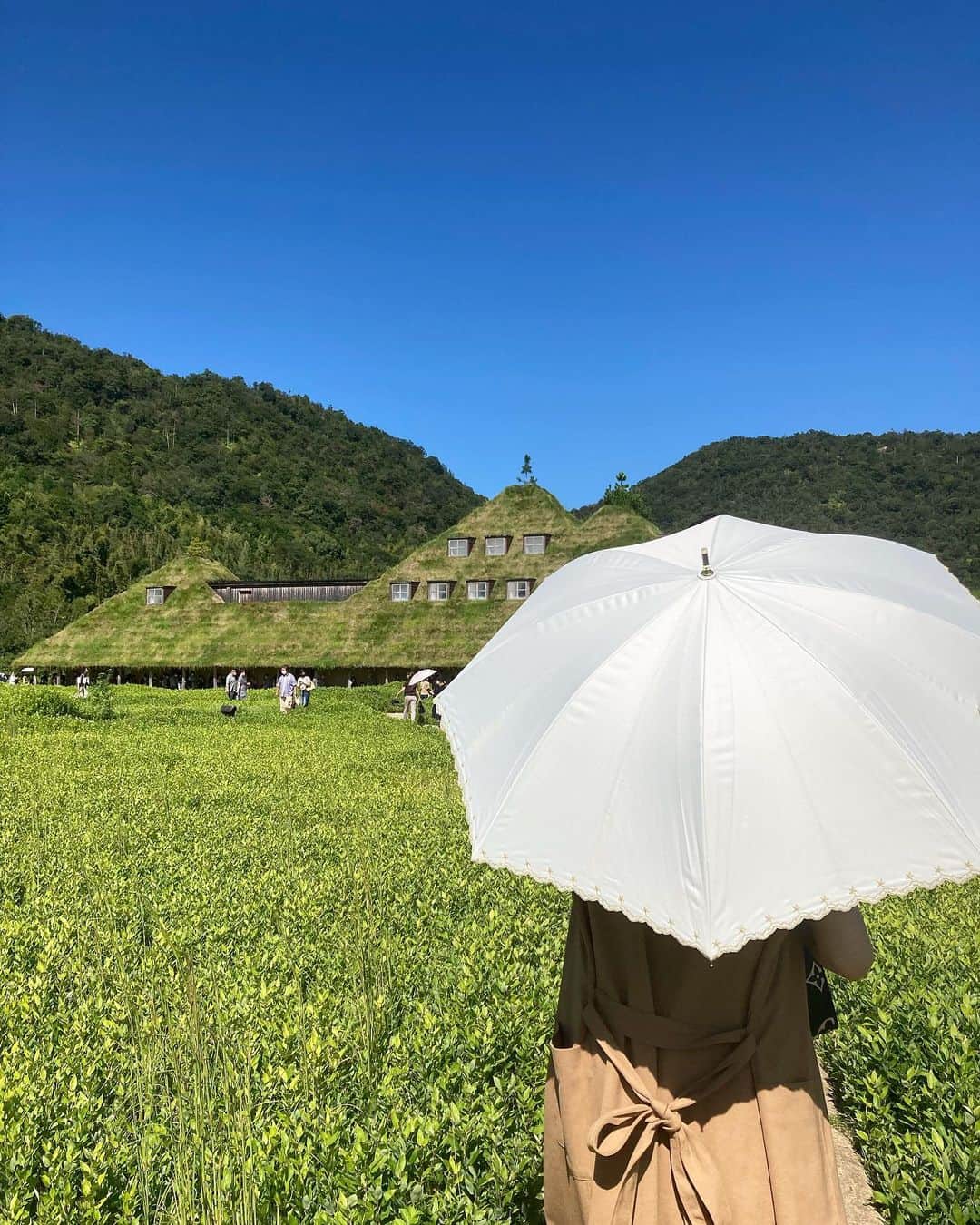 吉田沙弥香のグルメインスタ