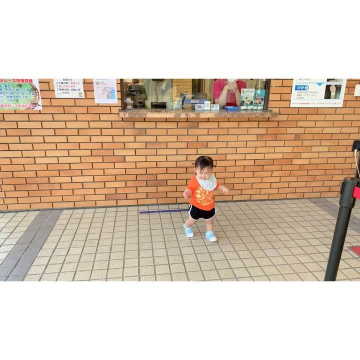 高松雪乃のインスタグラム：「iZooにテンション上がる娘☀️  #爬虫類　#はちゅ育　#生後11ヶ月　#iZoo」