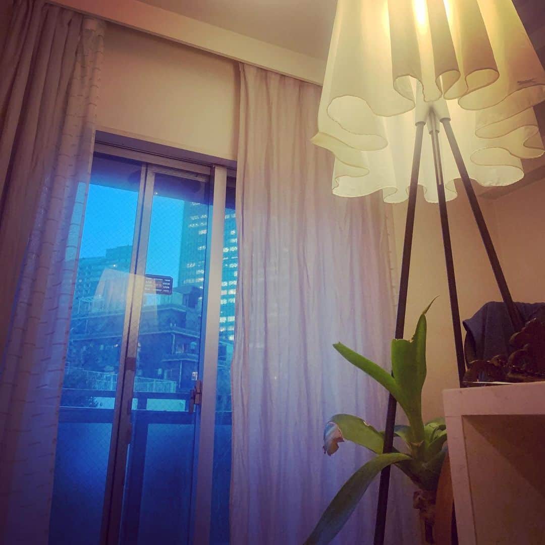 LiLyのインスタグラム：「夜がはじまる青。  #tokyo #リリ部屋 #インテリア 🕯」