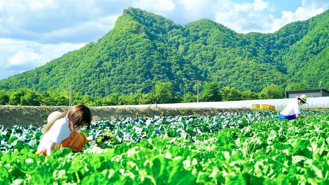 福田太郎さんのインスタグラム写真 - (福田太郎Instagram)「🌽🥔🍆🫑🌶 #この木なんの木 ？ いえいえ、#ブロッコリー です🥦 ⠀ 田口アナが握りしめているのは イチモニ！のスタッフルームで 種から育てたブロッコリーちゃん🌱 こーんなに大きくなりました！！！ ⠀ #イチモニ農園 ✖︎ #HTBまつり 2年ぶりの開催！ 明日は特番とオンライン配信で 一緒に楽しみましょう🔥🐉 リアルでお会い出来る日まで…！ #HTB #田口彩夏 #福田太郎 #草むしり」9月24日 23時03分 - htb_tarofukuda