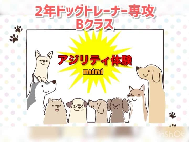 大阪ECO動物海洋専門学校のインスタグラム：「【大阪ECO学園祭学園祭】 準備中📷第五弾‼️  学園祭✨いよいよ明日！！！  #大阪eco #大阪eco学園祭 #オンライン学園祭 #大阪eco動物海洋専門学校 #動物 #専門学校 #動物飼育 #動物園 #水族館 #飼育員 #ドルフィントレーナー #アクアリスト #動物看護師 #トリマー #ドッグトレーナー #トリミング #犬 #animal #dog」