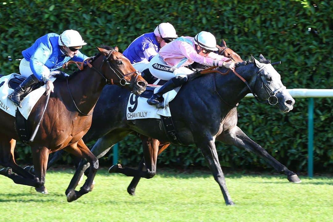 ミカエル・ミシェルのインスタグラム：「@fgchantilly #19 Winners👊🏆 🥇King Gold @NCaullery Mme C.Wingtans 🥰Well done to the whole team 👏🏼@JRAVAN_info @nar_keiba @HKJC_Racing @Qatar_Racing @DubaiRacingTV @thesaudicup @francegalop @BreedersCup @TheNYRA @DelMarRacing @JRA_WorldRacing #jockey @racingdubai」