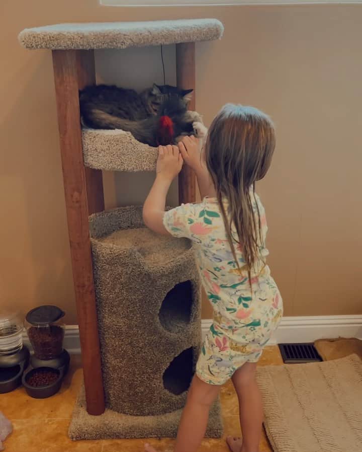 ストーミ・ヘンレイのインスタグラム：「The most tolerant cat award goes to Coco kitty ahahaha she’s like “Why is this my life?” Lolllll」