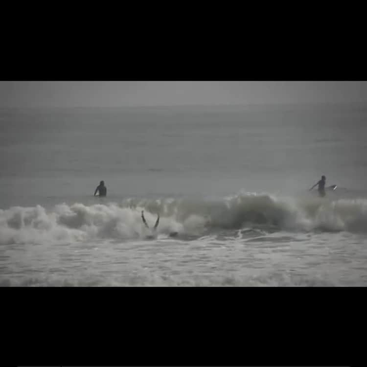 HARUKO（真木明子）さんのインスタグラム写真 - (HARUKO（真木明子）Instagram)「サーフィンはとても楽しい❤️. . #犬神家の一族#サーフィン#サーファー#レディースサーファー #surfer」9月25日 11時24分 - haruko227