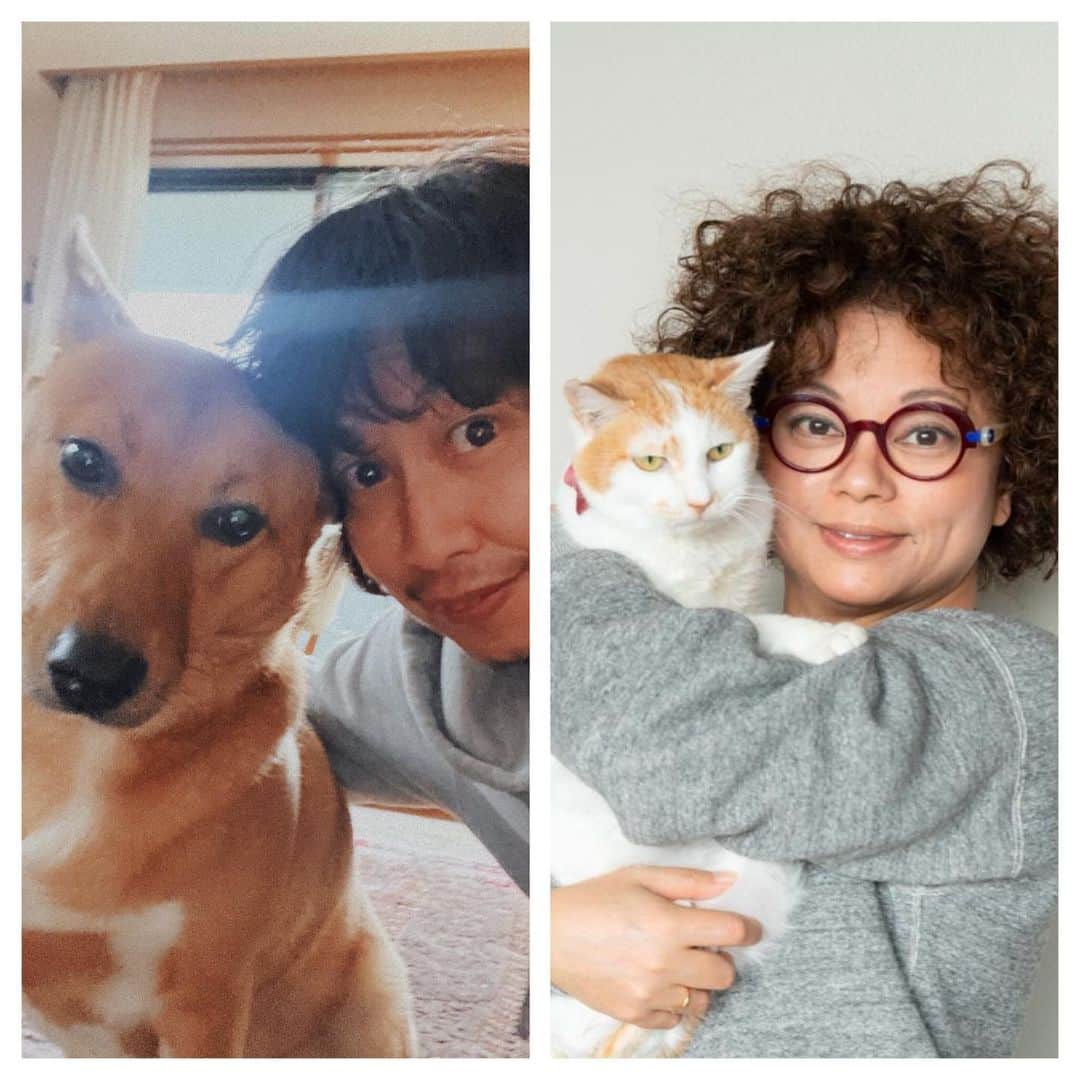 猫沢エミさんのインスタグラム写真 - (猫沢エミInstagram)「昨夜は突然のストーリーズライブにたくさんのみなさんがご参加くださいましてありがとうございました❣️  「猫と生きる。」制作チーム一同、心より感謝申し上げます。  昨日も告知した、10月10日（日）19時〜　の「猫と生きる。」《 出版記念トークイベント 〜動物たちと生きること〜 こばへん @takanobu_koba & 猫沢エミ 》のチケット、まだまだ受け付けております❣️このイベントの収益は、経費を除いた金額を動物保護団体へ寄附します。  お申し込みは、天然生活 @tennenseikatsu アカウントのプロフィールページURLからどうぞ！  当日、ご都合が悪くても、１ヶ月間アーカイブでご覧になれます。もちろん、当日ご参加の方もあとから繰り返しご覧にもなれます。  動物たちの話だけではなく、誰かと共に生きることの素晴らしさ、愛することとは？　その先にある見送りとは？　そんなお話もできたらなと思っています。  笑いあり、涙ありの豊かな時間をみなさんと一緒にすごせたら嬉しいです。  みなさまのご参加、心よりお待ちしています❣️  #猫と生きる オンラインイベント」9月25日 13時08分 - necozawaemi