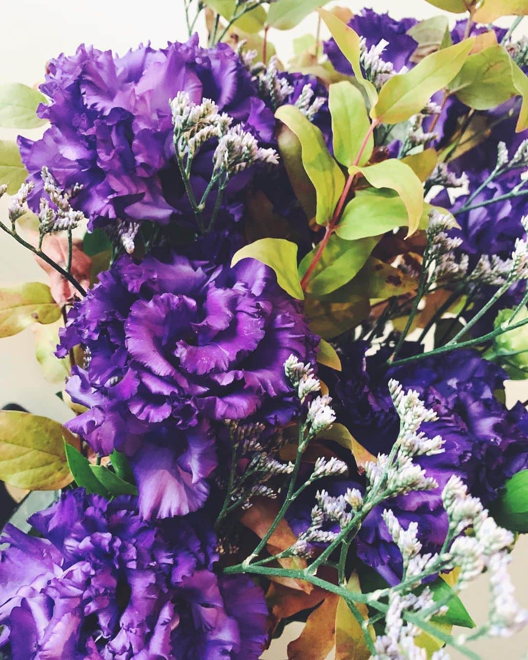 瀧本美織のインスタグラム：「Wow💜 いただいたお花が美しい。   #purple   #flower」