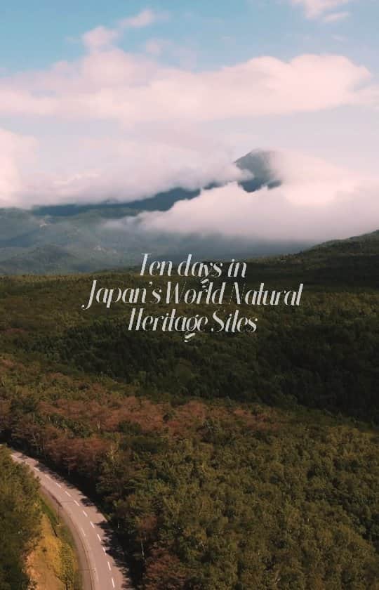 Berlin Tokyoのインスタグラム：「This time I visited two of Japan's five World Natural Heritage sites: the Ogasawara Islands, an oceanic island about 1,000 kilometers from central Tokyo, a 24-hour ferry ride away, and Shiretoko, a peninsula jutting out into the Sea of Okhotsk in northeastern Hokkaido.  While the southern and northern islands are quite different, the Ogasawara Islands are known for their whales, dolphins, and coral reefs, while Shiretoko is known for its brown bears, bald eagles, foxes, orcas, and drift ice. However, they are both 1,000 kilometers from Tokyo, and the Ogasawara Islands require a 24-hour ferry ride that departs once a week, so it is not an easy place to visit in terms of travel and accommodation costs. However, with the support of the Passion Project, a project of @lightroom , I was able to make my dream of traveling to a World Natural Heritage sites a reality. I was worried about the 24-hour boat trip, what if I couldn't return to Tokyo because of a typhoon, what if I couldn't see dolphins, whales, or brown bears, but the boat trip was comfortable, and I was able to see whales on the island, swim with dolphins, see a family of wild brown bears and a fox in Shiretoko, and the weather was perfect. Although it was difficult to carry more than 10 kg of equipment on my back, climb mountains and walk around from early morning until dark, and go from 34 degrees in the Ogasawara Islands to 14 degrees in Shiretoko, the wonderful encounters, experiences, and beautiful scenery I had on my trip made for a truly magical 10 days.  The natural heritage sites in Japan that I visited this time are all valued for their rich and unique ecosystems, where you can feel the cycle of life, including rare plants and animals. I am delighted to be able to share with you all the beautiful scenery and animals I saw, and the adventures I had during my 10 days there. I would like to thank @lightroom for providing me with this wonderful opportunity.  私は日本に５つある世界自然遺産の2つ、北海道の北東部のオホーツク海に突き出す半島「知床」、そしてフェリーで片道２４時間、東京都心から約1,000km離れた海洋島「小笠原諸島」を訪問しました。 今回私が訪れた日本の自然遺産は、いずれもその豊かで個性的な生態系が評価され、希少な動植物を含む生命の循環を感じることができる場所です。私の見た美しい景色や動物達、１０日間の冒険を作品として皆さんと共有できる事を嬉しく思います。  #LightroomAmbassador　#AdobePartner#ad」
