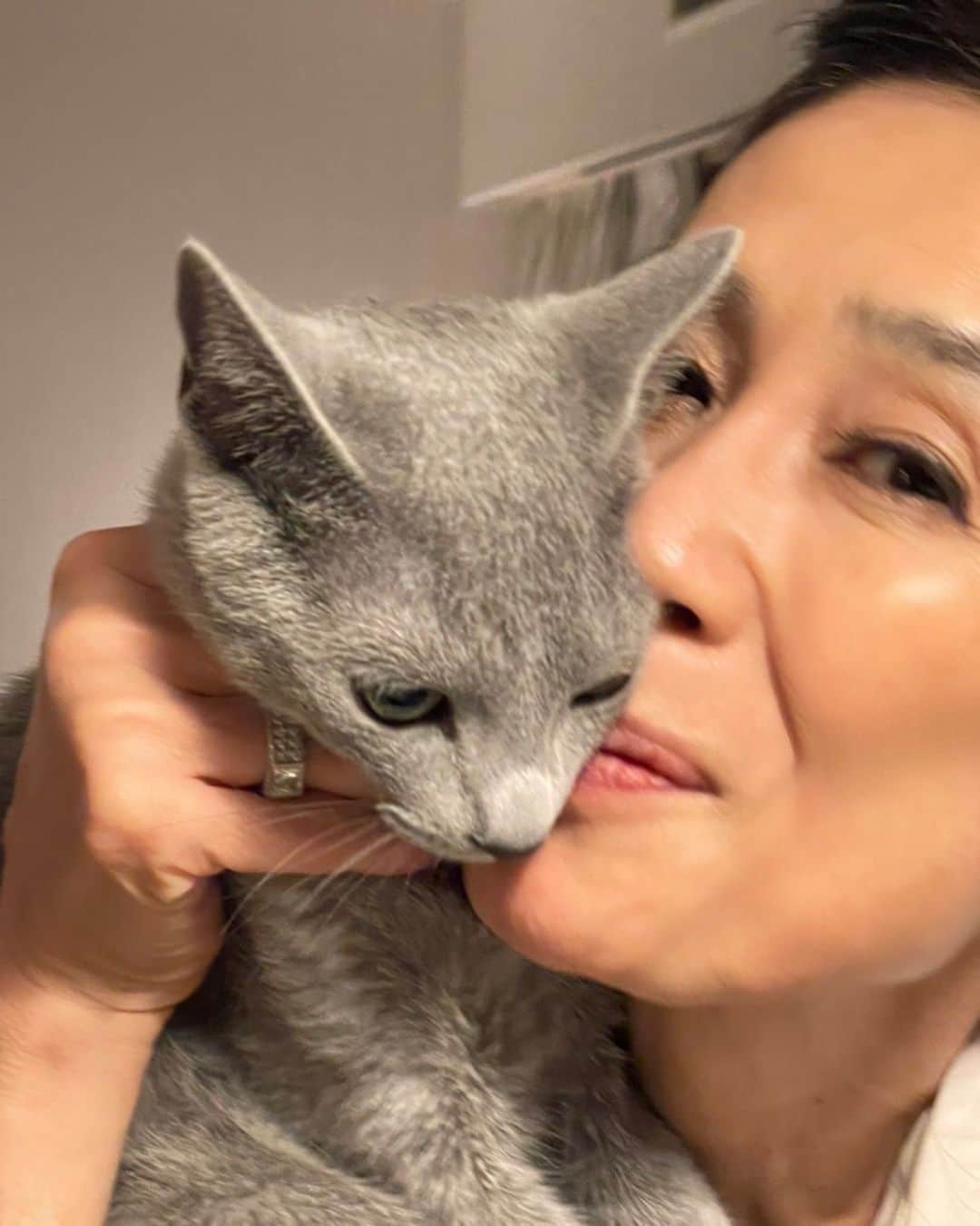 萬田久子さんのインスタグラム写真 - (萬田久子Instagram)「たまにはPJ🐈‍⬛と💋 ⁡ #PJ #友達の愛猫 #cat #萬田久子」9月25日 17時20分 - hisako.manda_official