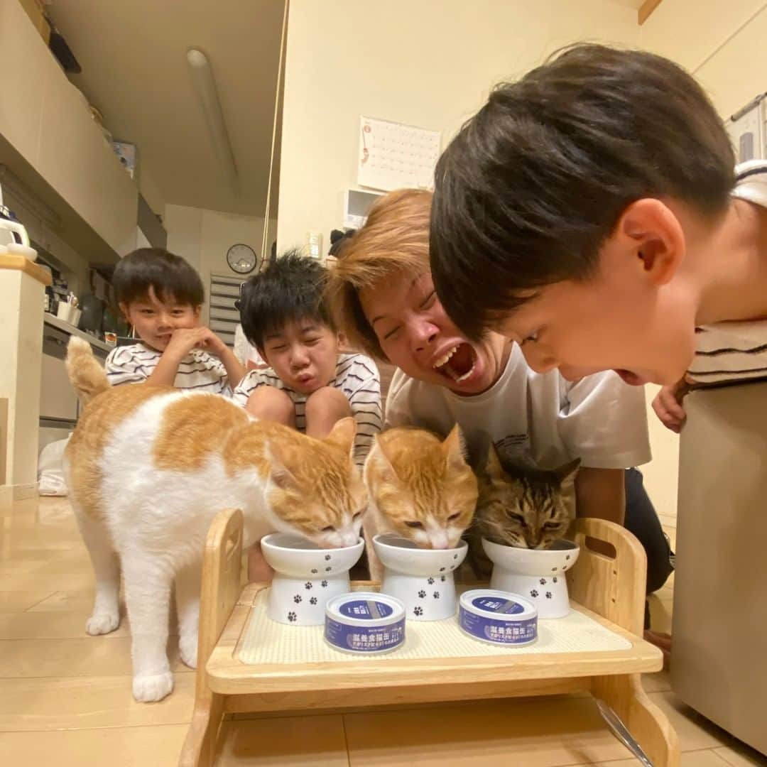 ブラザー4チャンネルのインスタグラム：「今日は我が家の猫ちゃん達にご褒美ネコ缶をあげました！ すごくいいにおいがしていて、 brother4の子供たちも興味津々♫ 猫ちゃん達もとっても美味しそうに食べてます☆ あっという間に食べ終わるほど、おいしかったようです！😁  Amazonでは10月に発売する予定なので、 猫ちゃんがいるご家庭は是非チェックしてみてください！  ＜詳細はコチラからどうぞ♪＞ https://lihi1.cc/q7ONm  #healthymoment  #猫缶  #全年齢  #アガリクス  #βグルカン  #pr」