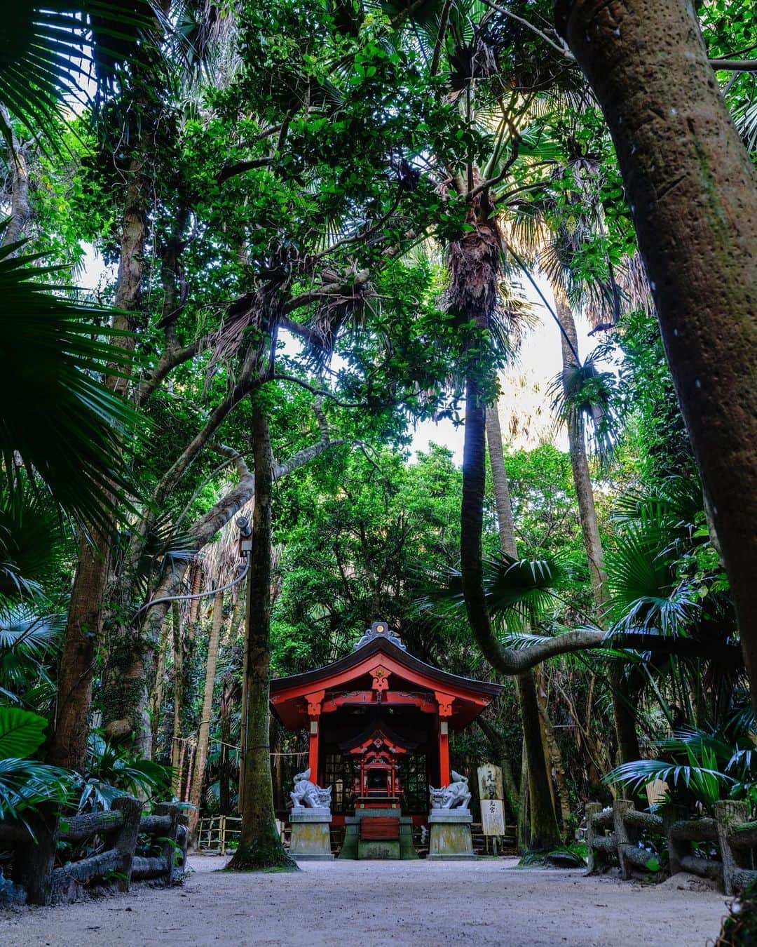 SHOCK EYEさんのインスタグラム写真 - (SHOCK EYEInstagram)「宮崎県にある青島神社⛩  こんなに素晴らしいロケーションの神社は本当に数少ない。  浜辺から直接境内に繋がるパワースポット。  どことなく湘南にも似た雰囲気で、落ち着くし、 海、太陽、森、夕陽、月と、自然の恵に囲まれた最高の時間でした。  最後に一緒に参拝したハンクンとも📸 しかも、一枚目、滅多に撮れないこの光！ めちゃくちゃすごくない？  #青島神社 #宮崎 #aoshimashrine #miyazakiprefecture #神話 #海幸山幸  #japantravel #japantrip #fujifilm #gfx100s #xs10 #beautifuldestinations #discoverjapan #discoverearth #voyaged #awesome_photographers #IamATraveler #wonderful_places #japanphoto #japanphotography #japan_of_insta #livingonearth #theglobewanderer #shrine #torii」9月25日 18時06分 - shockeye_official