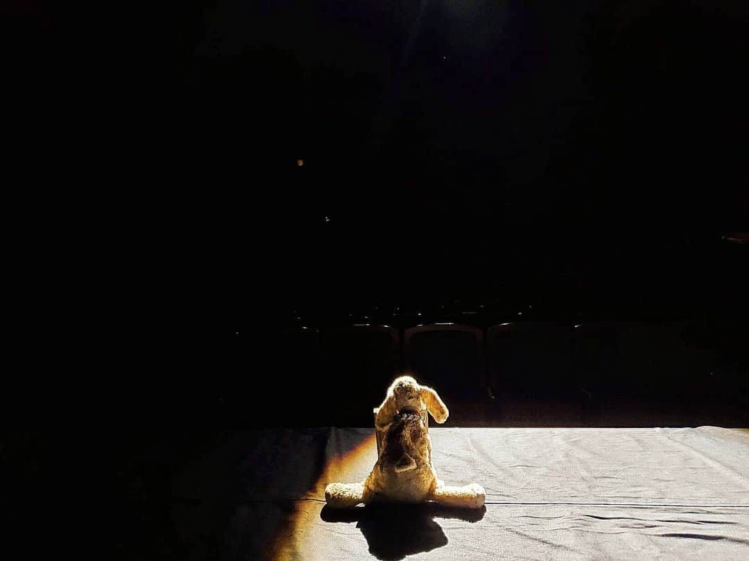 サヘル・ローズのグルメインスタ