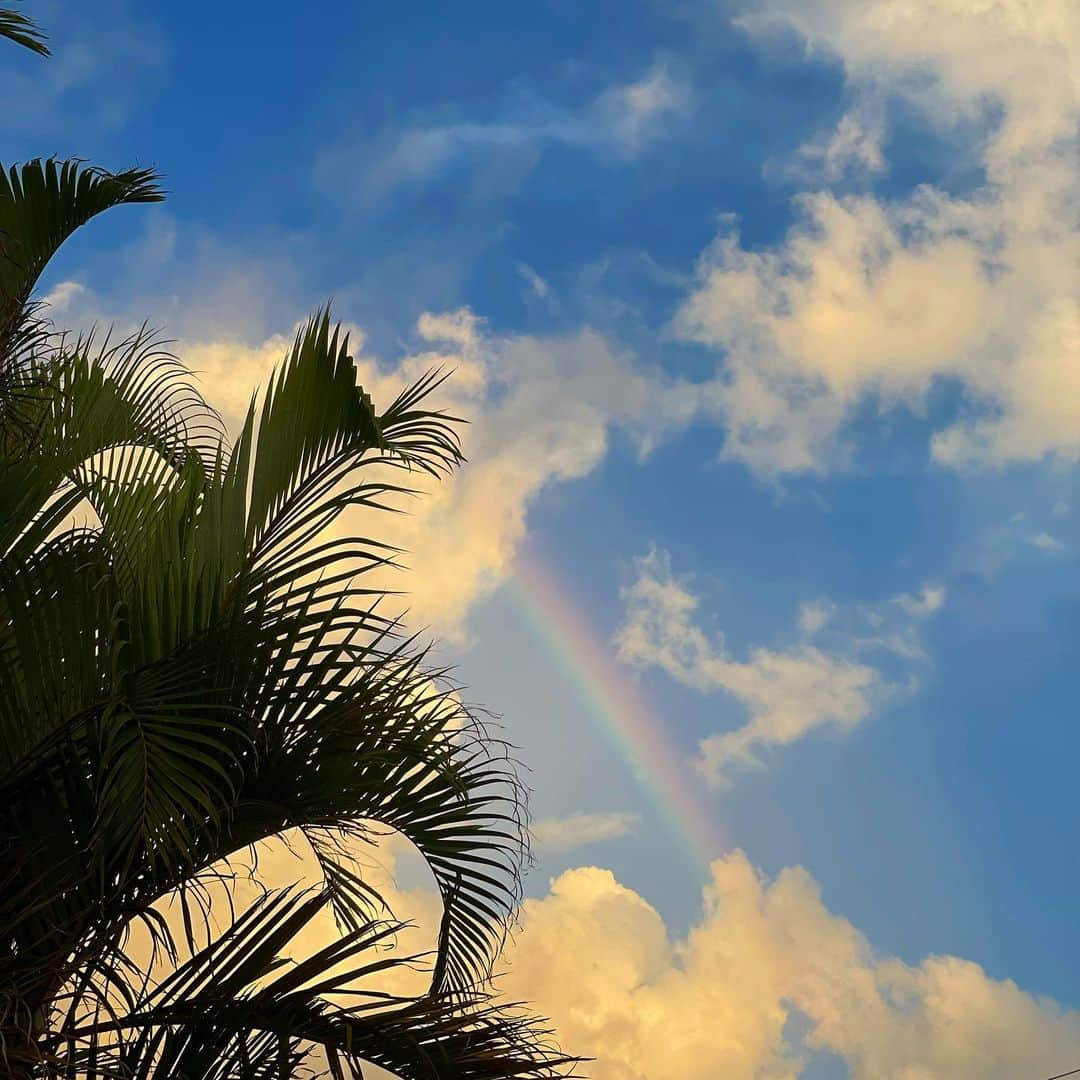 田中律子さんのインスタグラム写真 - (田中律子Instagram)「今日の沖縄は、スコールみたく雨が☔️ザーッと降ってはやんで、虹が🌈出て、めまぐるしいお天気🌞  植物🪴が雨を浴びてキラキラ光ってよろこんでる🌿  ついさっきまですごい雨だったのに、綺麗なサンセット🌞が見れたよ💛  さてと、ビール🍺飲みますか 今日もおつかれさまーー🌞  #okinawa  #okinawalife  #beautifulworld  #lifestyle  #sunset  #海のある生活  #おつかれさま」9月25日 18時52分 - ri2kotanaka