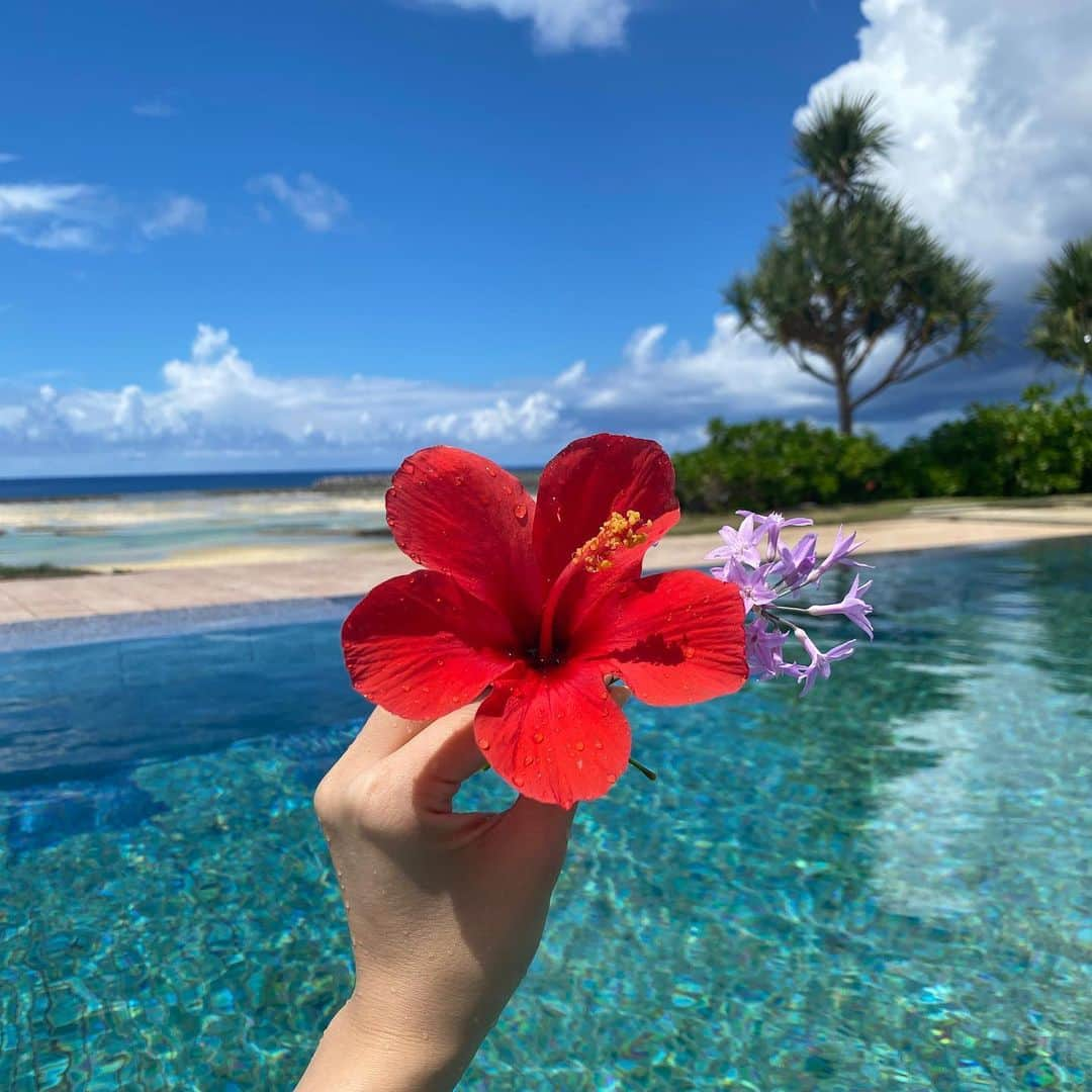 市原彩花さんのインスタグラム写真 - (市原彩花Instagram)「久米島の思い出…🌺#tbt   ビーチで乗馬したり、プールや海でのんびりしたり、サトウキビ畑お散歩したり、星空見たり、ダイビングしたり…  私は天国にいたのかもしれない🌺  写真見返してるだけで、もう行きたくて泣ける🥺  せっかく日本に住んでいるなら人生一度は訪れて欲しい島、久米島🏝 那覇空港から30分で着いちゃう✈️  久米島のハイライトも作ったよ😉  楽しすぎる乗馬🐴 @kumejimaumabokujyo  久米島一のリゾートホテル @cypress_resort_kume_island  マニアックで丁寧なダイビング @diveestivant  久米島町観光協会 @kumejima_kanko   #久米島#kumeisland#沖縄#okinawa#沖縄旅行#はての浜#乗馬#馬#horseriding#infinitypool#サイプレスリゾート久米島#久米島ホテル#さとうきび畑#ダイビング#diving#scubadiving#沖縄ダイビング」9月25日 19時23分 - ayaka_ichihara