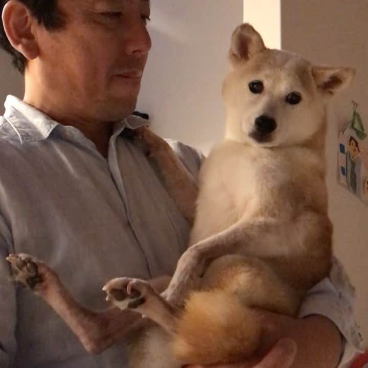 柴犬リリコのインスタグラム：「こんな日に洗われて🧴🛁やるせない顔のリリコさん😅」