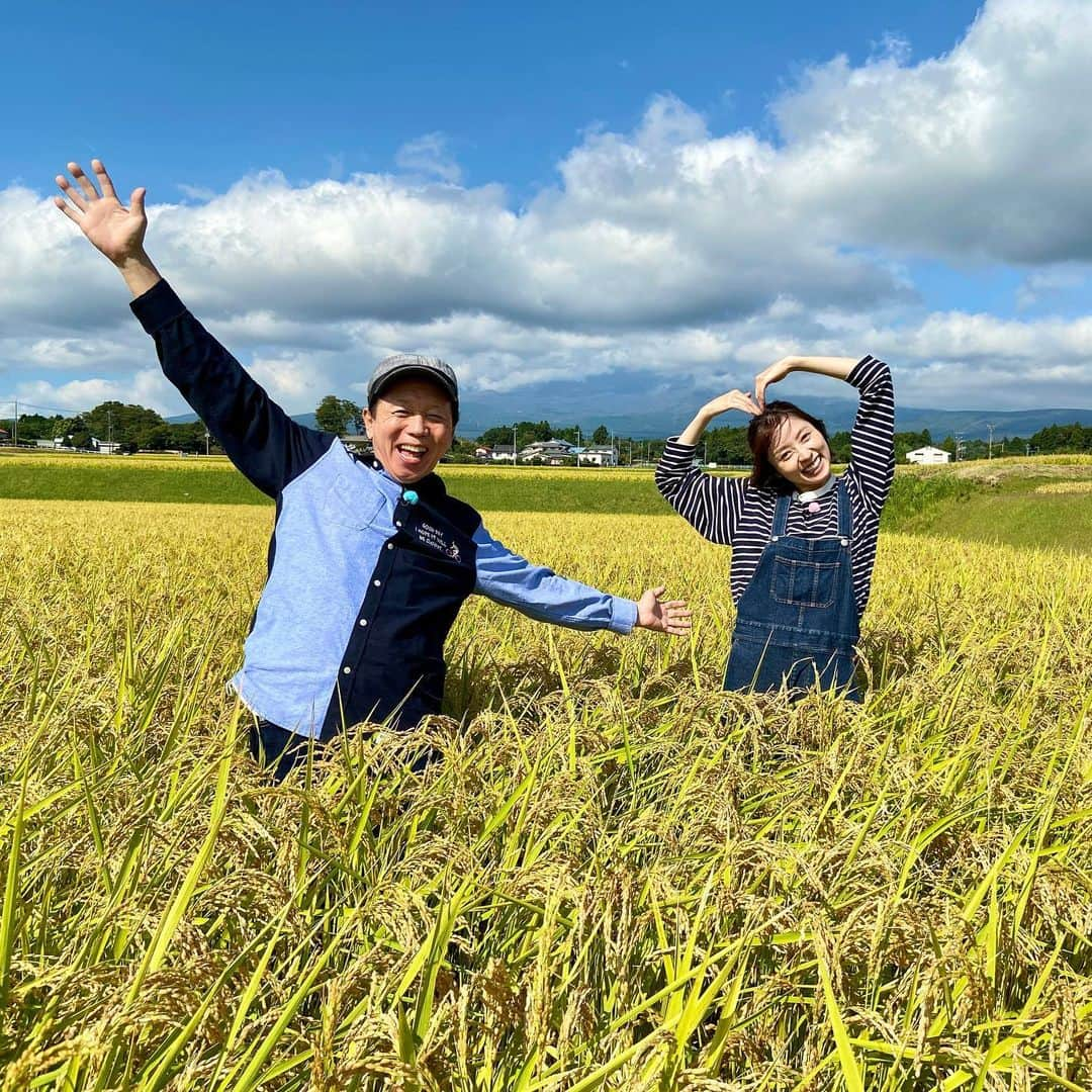 鳥越佳那さんのインスタグラム写真 - (鳥越佳那Instagram)「新米シーズン到来🌾🌾  今日の#ごちそうカントリー  (11:40〜)では  去年日本一に輝いたお米 "ごてんばこしひかり" をご紹介します☺️✨  御殿場の田んぼは一面黄金色で どこを切り取っても美しい🥰  くんちゃん(國本良博さん)、 いつもいい感じの写真を ありがとうございます😂📸」9月26日 11時10分 - kana_torigoe