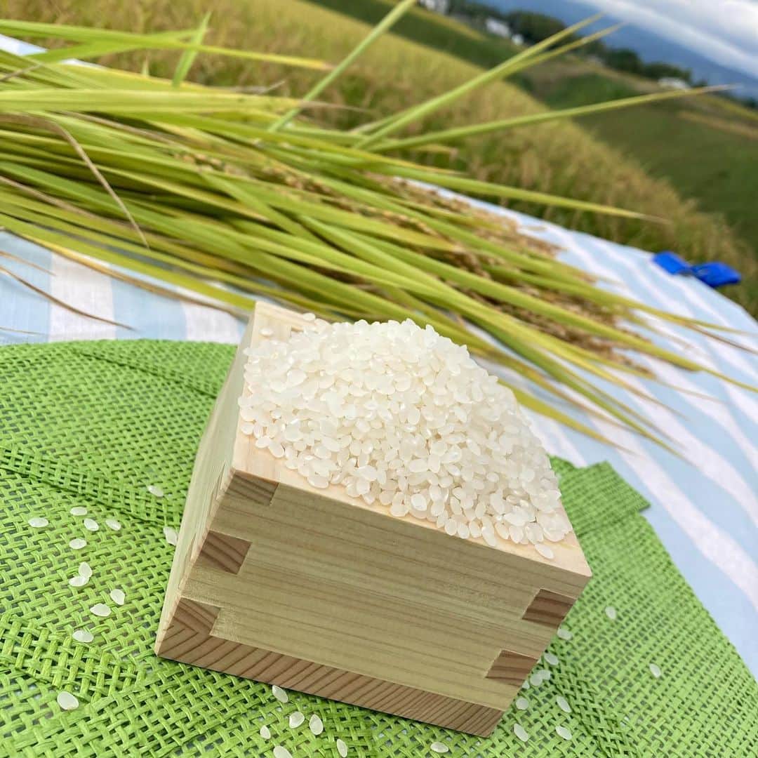 鳥越佳那のインスタグラム：「新米シーズン到来🌾🌾  今日の#ごちそうカントリー  (11:40〜)では  去年日本一に輝いたお米 "ごてんばこしひかり" をご紹介します☺️✨  御殿場の田んぼは一面黄金色で どこを切り取っても美しい🥰  くんちゃん(國本良博さん)、 いつもいい感じの写真を ありがとうございます😂📸」