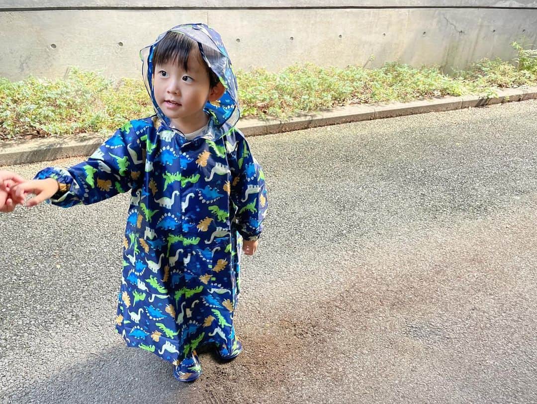 ᴋᴀɴᴀᴋöさんのインスタグラム写真 - (ᴋᴀɴᴀᴋöInstagram)「✿︎ 雨の日☔️も楽しく 幼稚園へ行けるように…❤️ レン君の大好きな恐竜🦖柄の レイングッズを 揃えたよ❣️ * 早速、水たまりで 思いっきり 遊びました😇　 これなら、雨の日の お出かけも 楽しくなっちゃうね☔️ * 他にも、子供が喜びそうな かわいい柄がたくさんあったよ〜😻🌈✨ * Thank you🦖🦕💙  @kidsforet_official @kodomonomori_eshop  #kidsforet#キッズフォーレ#こどもの森#こどもの森eshop#丸高衣料#子供服#親バカ部#ig_kidsphoto#キッズ服#レインコート#レインブーツ#3歳#PR」9月26日 19時15分 - kanakokko_34_