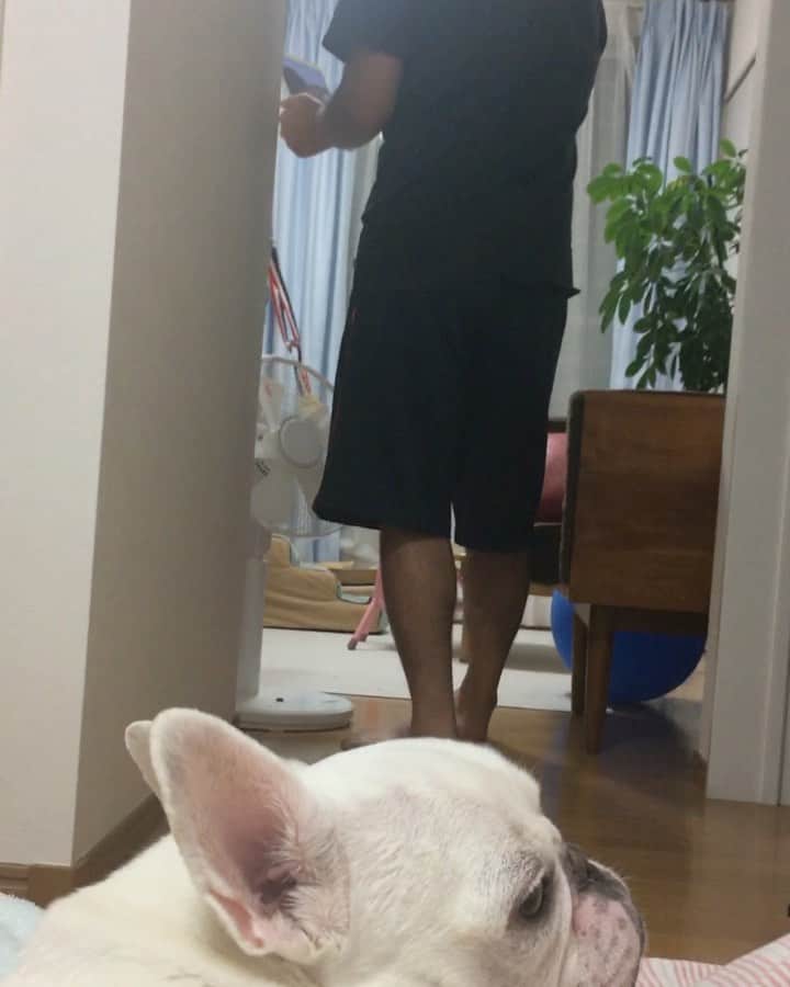 ちえぶぅたのインスタグラム：「ライブ配信ごっこ。」
