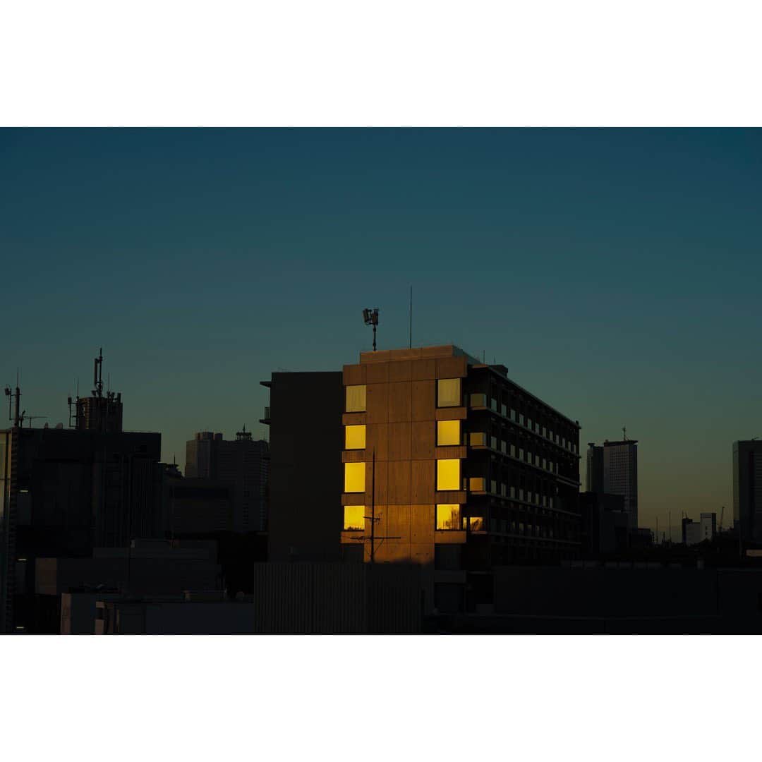 石橋静河さんのインスタグラム写真 - (石橋静河Instagram)「🦋  Almost a year ago  Photography by Taro Mizutani」9月26日 21時53分 - shizuka_isbs
