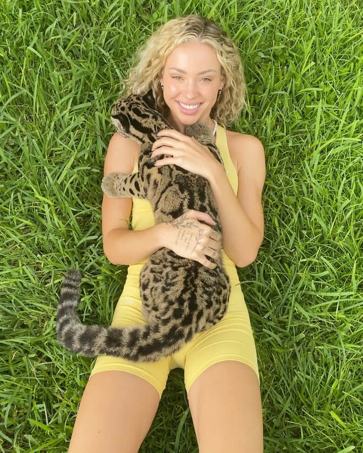 チャーリー・ジョーダンのインスタグラム：「This is Nebula ✨ She’s a Clouded Leopard, one of the worlds rarest cats. They live primarily in the trees, and there’s only around 10,000 left in the wild. They’re the closest relative to the sabertooth tiger!  I always love going to see @jacobfeder_  and love the work he does with critically endangered species. Check our his page to learn more about how you can do your part to help support wild life ❤️」