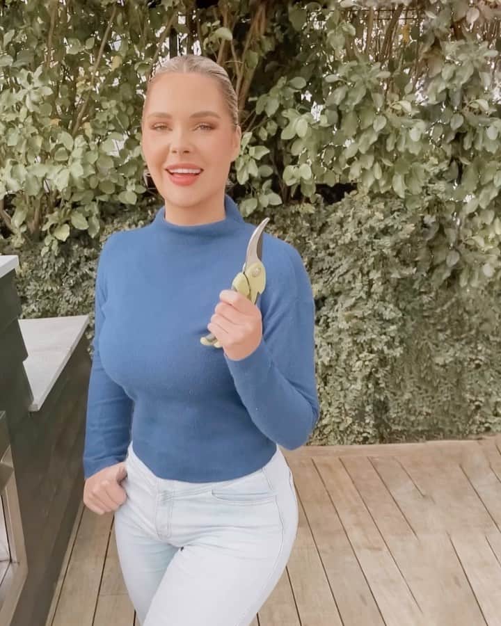 サラ・ハリスのインスタグラム：「Arghhhh i’ve been building up the strength to deal with this vine! It’s gorgeous, but wow it grows quickly and gets out of control!!! A @bangenergy and a lockdown extension meant I finally got around to removing half of it 👏🏽     The only thing is it left nasty residue, oxygenated bleach apparently works a treat. Yay for laundry day 😂    AD   follow the creator @bangenergy.ceo #bangenergy #energydrink」