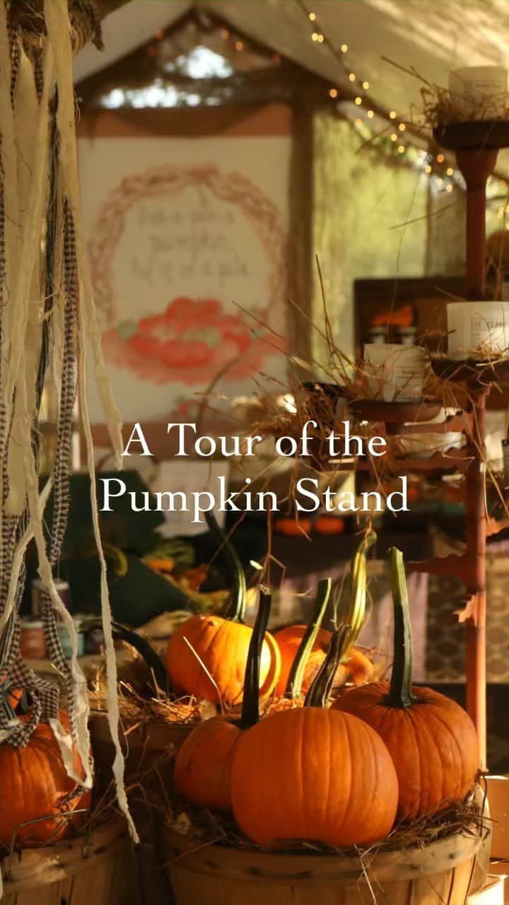 FOLKのインスタグラム：「So, our pumpkin stand isn’t like your average pumpkin stand, it’s a cool pumpkin stand. Yes we have PLENTY of pumpkins, but I really wanted to create something that was filled with American made and handmade goods. It’s open daily if you’re in the area. But anyways….let’s take a tour! Kytourism #pumpkin #fall #autumn #folk #folkmagazine #americana #kentucky.」