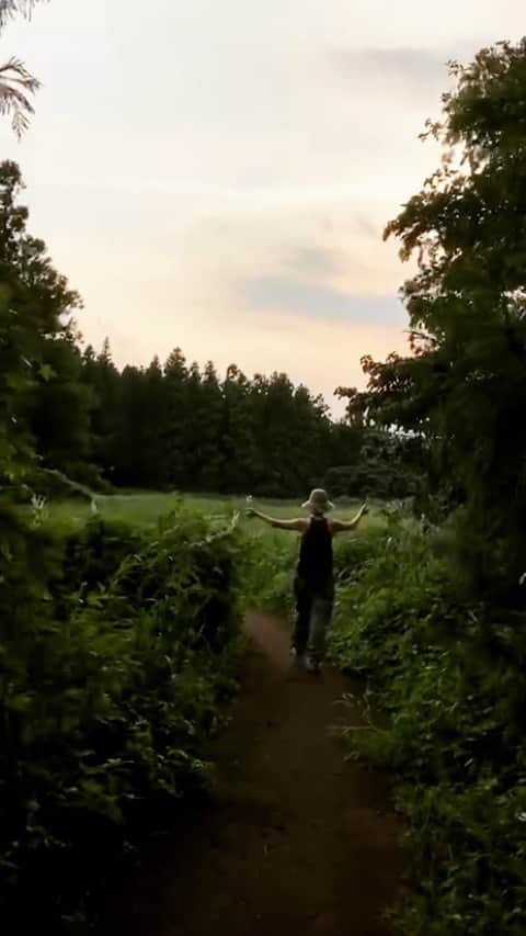 チン・ソヨンのインスタグラム：「곧 우리집앞 🌳🌳💃🏾」
