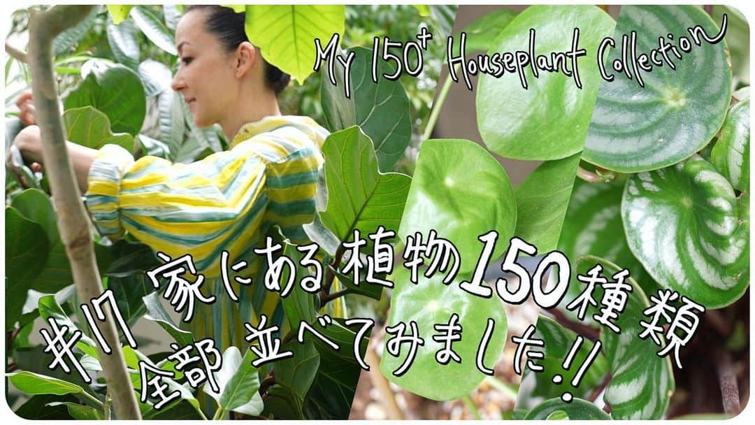 桐島かれんのインスタグラム