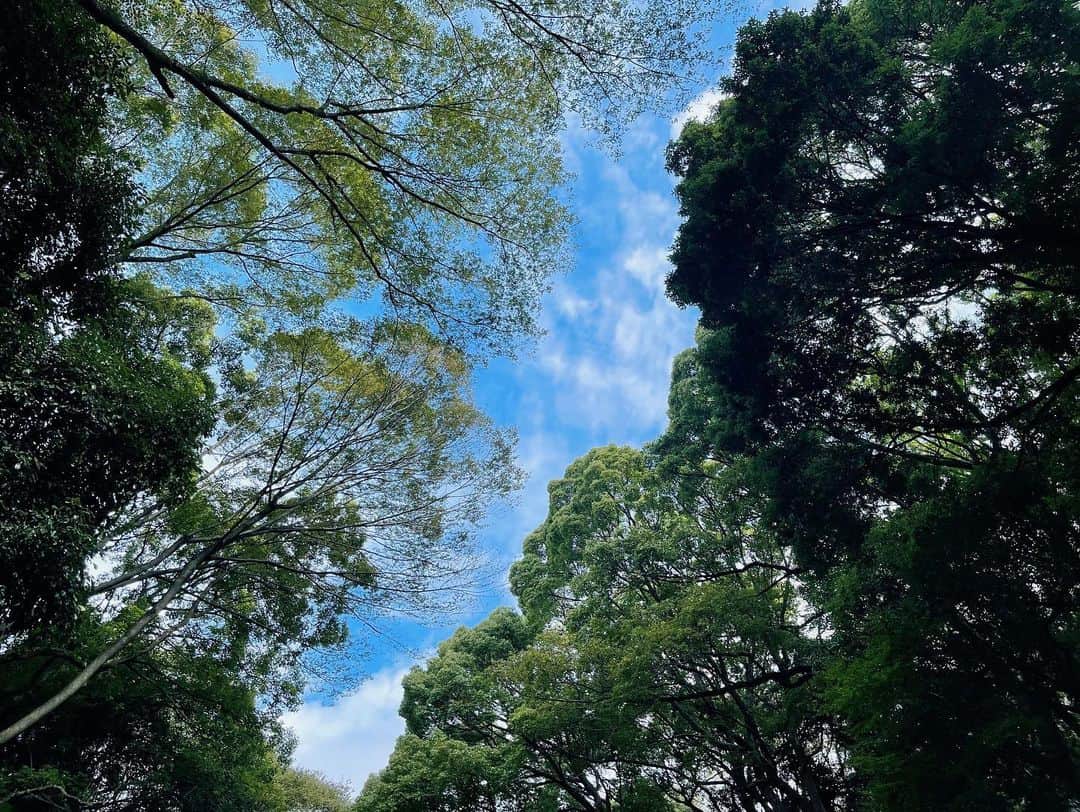 絢香さんのインスタグラム写真 - (絢香Instagram)「秋だね🍂 いつも持つ係。笑  #お散歩 #秋」9月28日 11時25分 - ayaka_official_jp