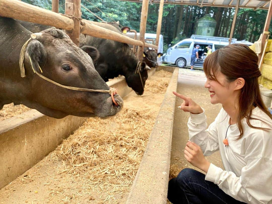 澤井志帆のインスタグラム