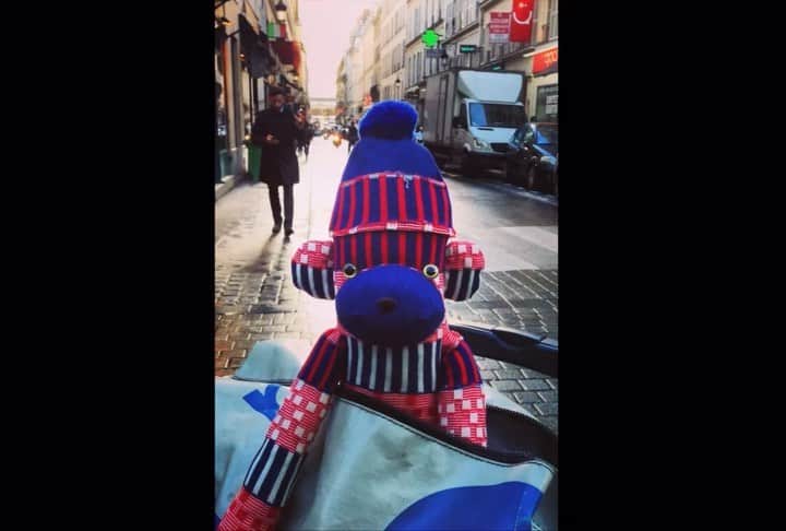 アヤメのインスタグラム：「アヤメソックモンキー、パリの思い出を語る #ayamesocks #ayamesockmonbear #パリの思い出」