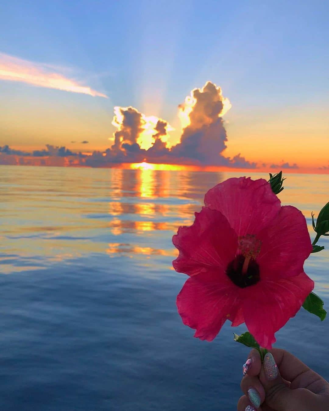 君島かれんのインスタグラム：「船長が摘んできてくれたハイビスカスとSunset🌺✨ . . . . . . 🙏🙏🙏」